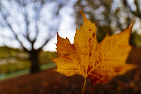 Symbolfoto Herbst