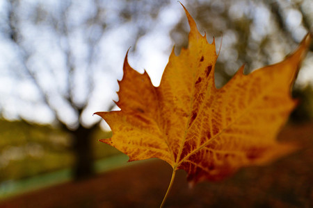 Symbolfoto Herbst