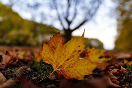 Symbolfoto Herbst