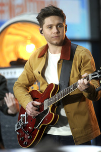 Konzert von Niall Horan in New York