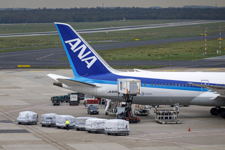 Symbolfoto All Nippon Airways