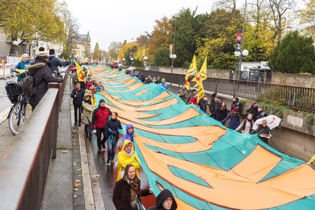 Klima-Karnevals-Demo in Bonn