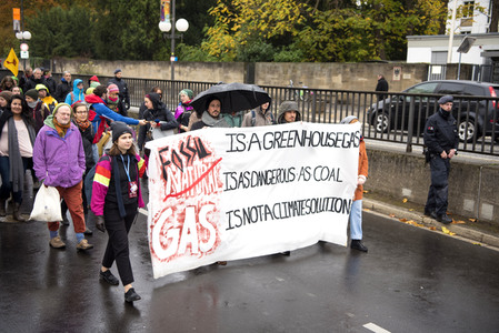 Klima-Karnevals-Demo in Bonn