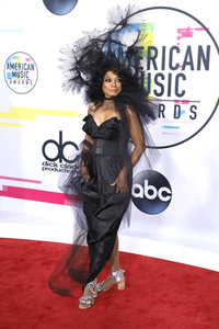 American Music Awards 2017 in Los Angeles