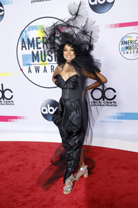 American Music Awards 2017 in Los Angeles