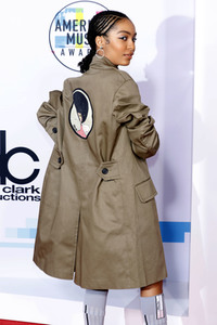 American Music Awards 2017 in Los Angeles