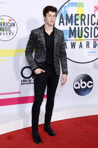 American Music Awards 2017 in Los Angeles