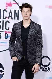 American Music Awards 2017 in Los Angeles