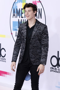 American Music Awards 2017 in Los Angeles