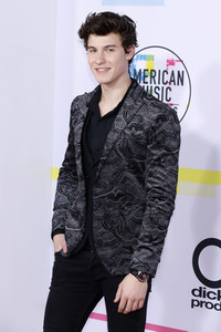 American Music Awards 2017 in Los Angeles