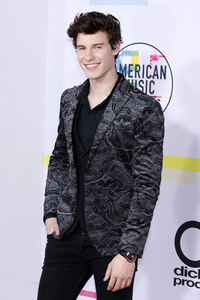 American Music Awards 2017 in Los Angeles