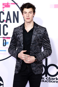 American Music Awards 2017 in Los Angeles
