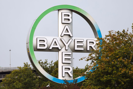 Symbolfoto Bayer