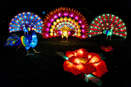 China-Light-Festival in Köln