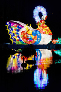 China-Light-Festival in Köln