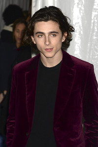 Gotham Independent Film Awards 2017 in New York