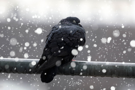 Symbolfoto Schneefall