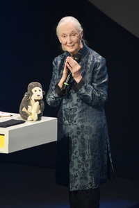 10. Deutscher Nachhaltigkeitspreis 2017 in Düsseldorf