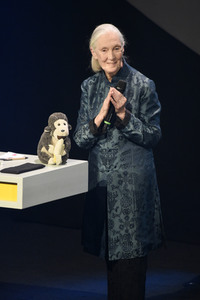 10. Deutscher Nachhaltigkeitspreis 2017 in Düsseldorf
