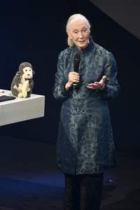 10. Deutscher Nachhaltigkeitspreis 2017 in Düsseldorf