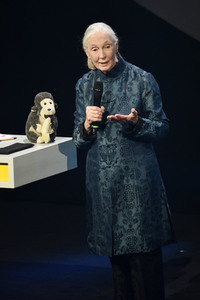 10. Deutscher Nachhaltigkeitspreis 2017 in Düsseldorf