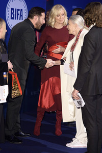 British Independent Film Awards 2017 in London