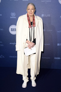 British Independent Film Awards 2017 in London