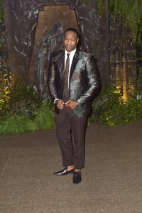 Filmpremiere 'Jumanji: Willkommen im Dschungel' in Los Angeles