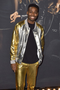 Filmpremiere 'Pitch Perfect 3' in Los Angeles