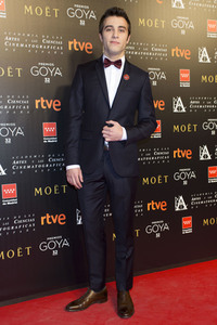 Treffen der Nominierten der 32. Goya Filmpreis Verleihung in Madrid