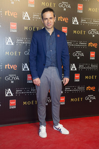 Treffen der Nominierten der 32. Goya Filmpreis Verleihung in Madrid