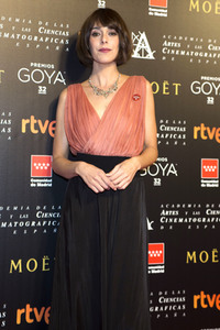Treffen der Nominierten der 32. Goya Filmpreis Verleihung in Madrid