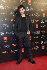 Treffen der Nominierten der 32. Goya Filmpreis Verleihung in Madrid