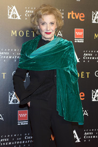 Treffen der Nominierten der 32. Goya Filmpreis Verleihung in Madrid