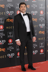 Goya Awards 2018 in Madrid