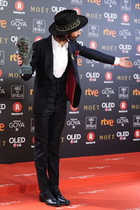 Goya Awards 2018 in Madrid