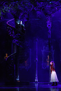 Press-Call 'Tanz der Vampire' in Köln