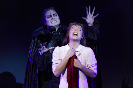 Press-Call 'Tanz der Vampire' in Köln