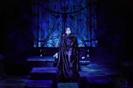 Press-Call 'Tanz der Vampire' in Köln