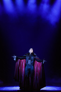 Press-Call 'Tanz der Vampire' in Köln