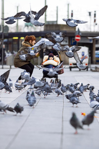 Symbolfoto Stadttauben