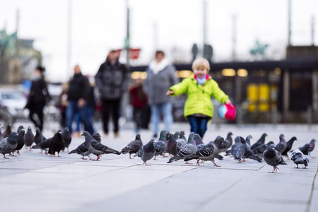 Symbolfoto Stadttauben