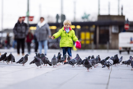 Symbolfoto Stadttauben