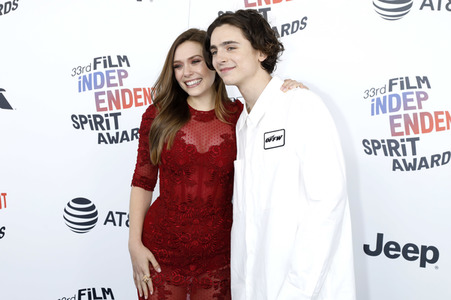 Film Independent Spirit Awards 2018 in Santa Monica