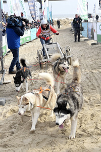 Baltic Lights 2018 auf Usedom