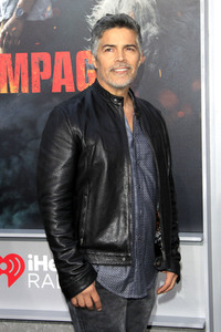 Filmpremiere 'Rampage - Big meets Bigger' in Los Angeles
