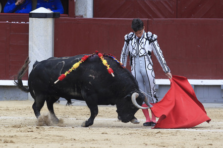 Goyesca Stierkamp in Madrid