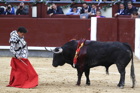 Goyesca Stierkamp in Madrid