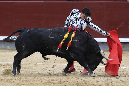 Goyesca Stierkamp in Madrid
