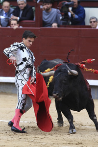 Goyesca Stierkamp in Madrid